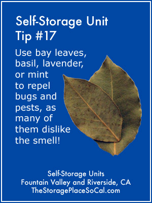 Self-Storage Tip 17: Use bay leaves to repel bugs.