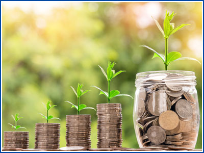 Photo of plants growing out of coins in jars